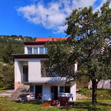 Guesthouse Mirkovic Plužine Esterno foto